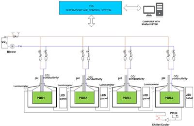 Characterization of Pseudochloris wilhelmii  potential for oil refinery wastewater remediation and valuable biomass cogeneration